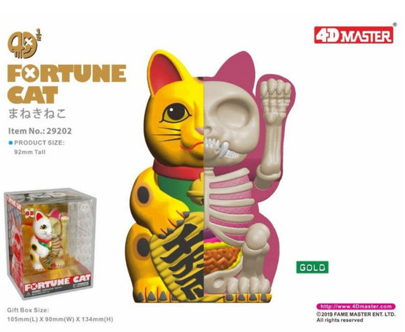 4D Half Fortune Cat Anatomy (Gold)